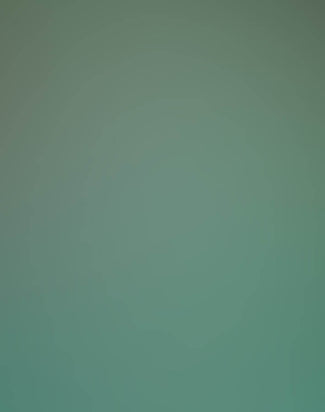 Converse x Todd Snyder