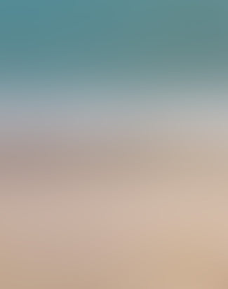 Axel Arigato x Pokémon