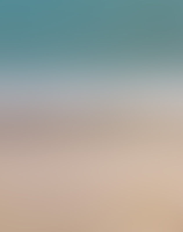 Axel Arigato x Pokémon