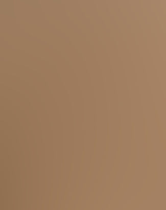 Fear of God x Birkenstock