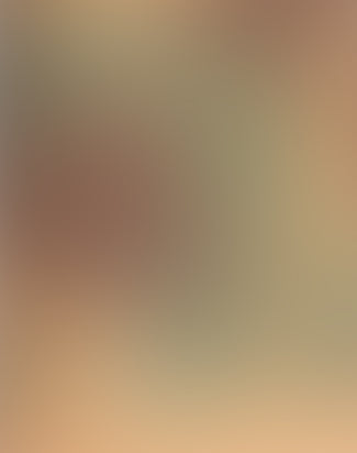 Novesta x Universal Works