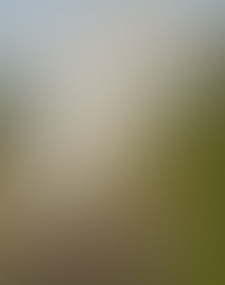 Suicoke x John Elliott