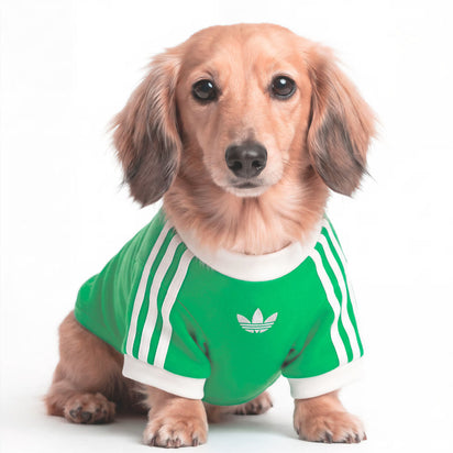 Adidas Pet Cali Tees