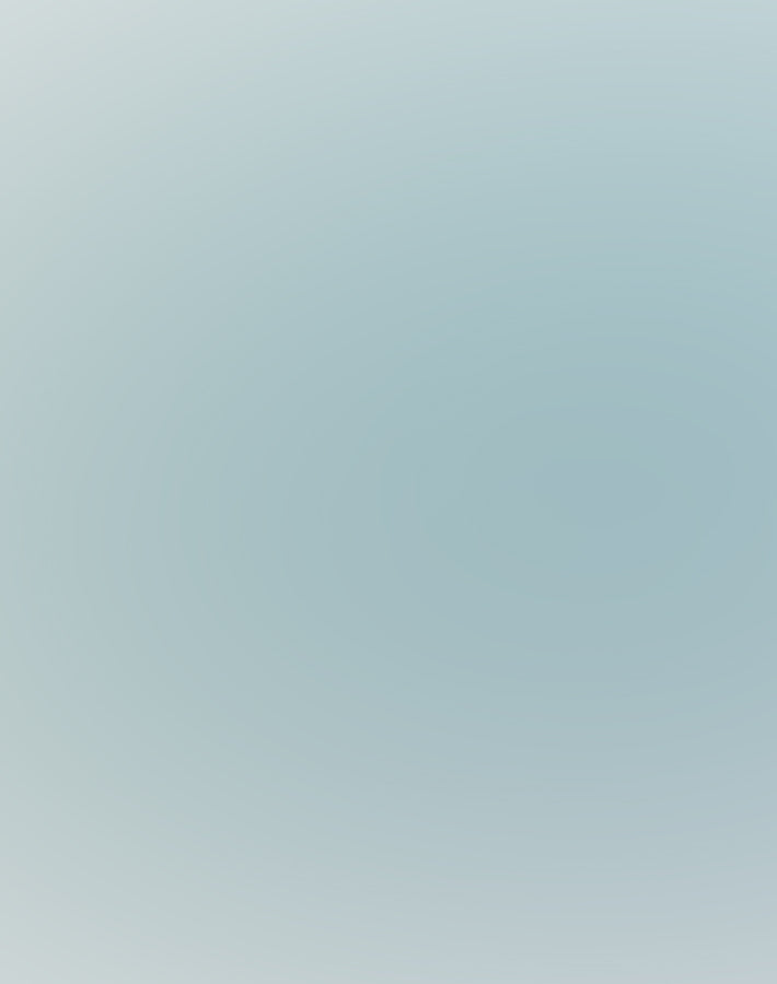 New Balance x Palace Sneakers & Trainers - Shop the Collaboration at Sneak in Peace - Shop the