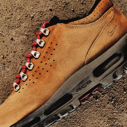 Nike Air Max Goadome Low Sneakers