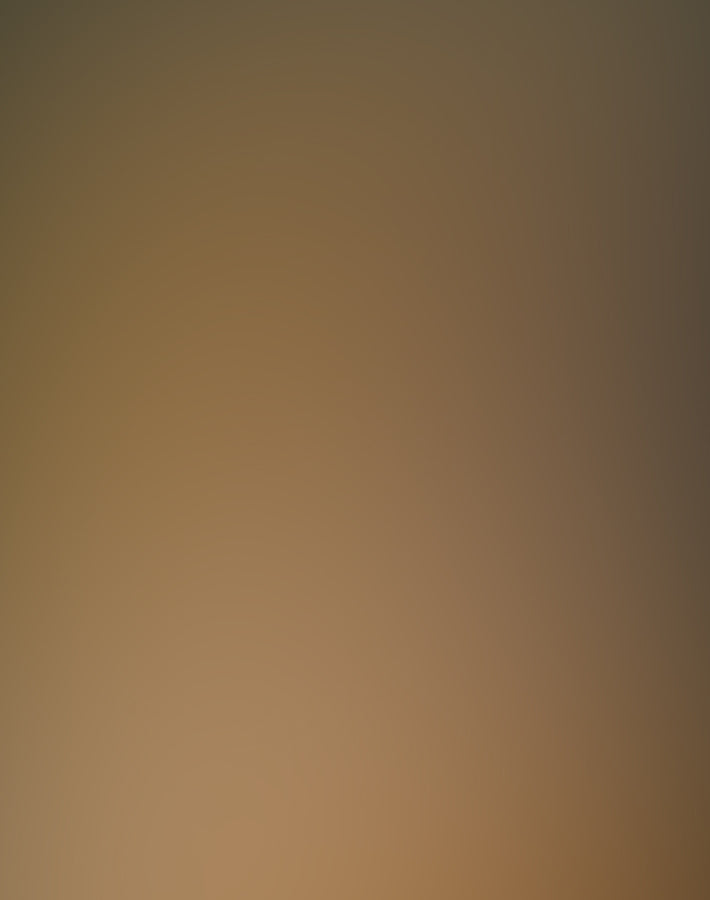 Nike x Louis Vuitton - Discover the Collection at Sneak in Peace - Shop the Spring '25 Collection