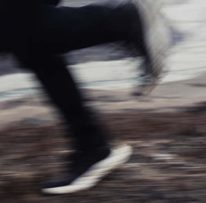 NNormal Collection