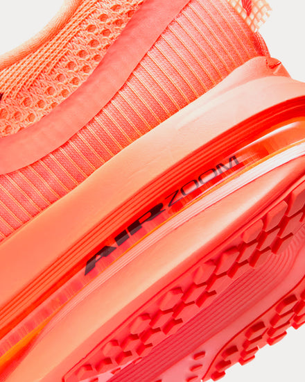 Nike Pegasus Premium Orange Pulse / Bright Mango / Tattoo / Hot Lava Running Shoes - 5
