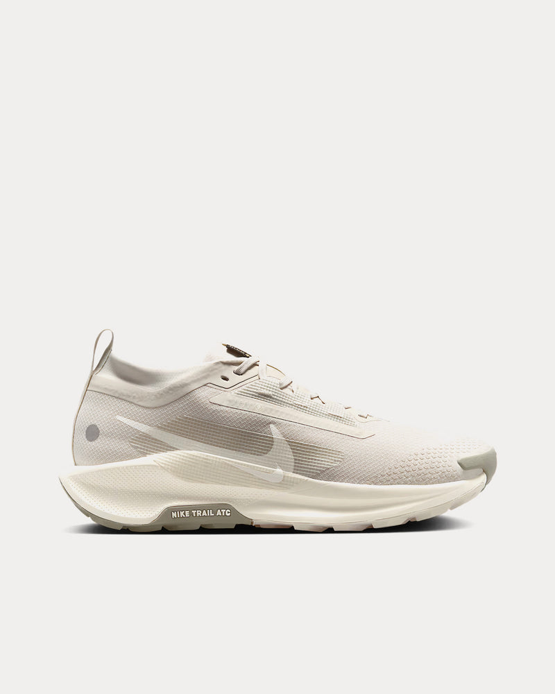 Nike Pegasus Trail 5 Gore-Tex Light Bone / Light Army / Sail Running Shoes - 1