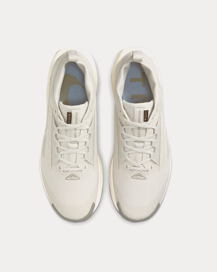 Nike Pegasus Trail 5 Gore-Tex Light Bone / Light Army / Sail Running Shoes - 2