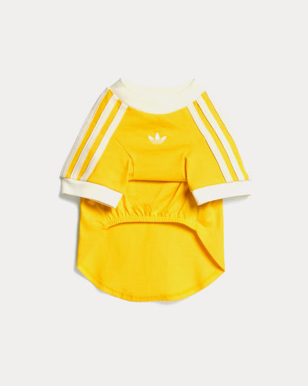Adidas Pet Cali Tee in Bold Gold / Off White - 1