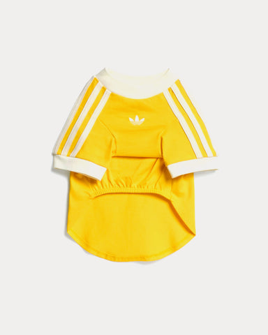 Adidas Pet Cali Tee in Bold Gold / Off White