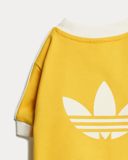 Adidas Pet Cali Tee in Bold Gold / Off White - 3
