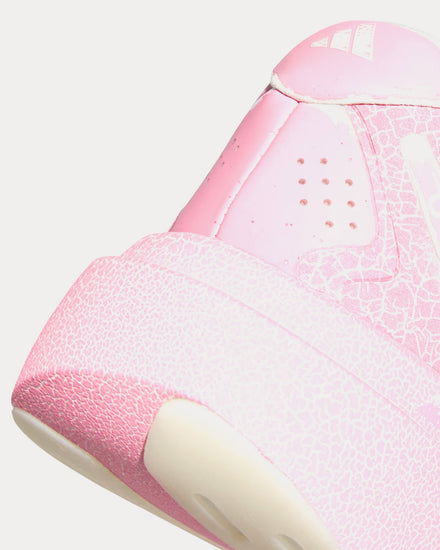 Adidas Adizero Evo SL EXO -.. -. -.. Bliss Pink / Bliss Pink / Core Black Running Shoes - 6