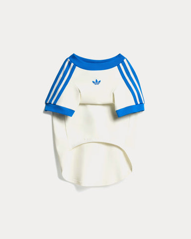 Adidas Pet Cali Tee in Off White / Blue Bird