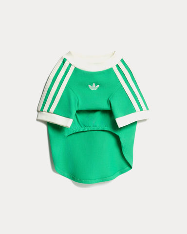 Adidas Pet Cali Tee in Flash Lime / Off White