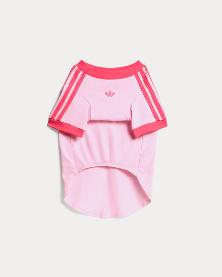 Adidas Pet Cali Tee in Clear Pink / Real Pink - 1