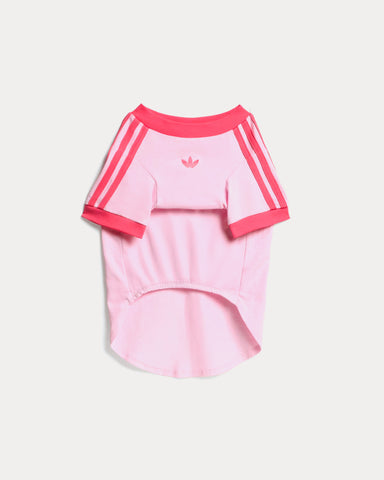 Adidas Pet Cali Tee in Clear Pink / Real Pink