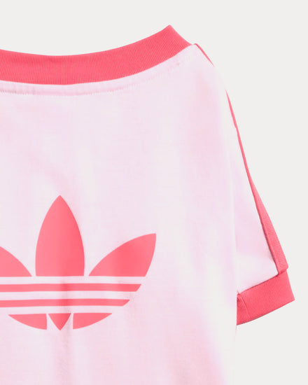 Adidas Pet Cali Tee in Clear Pink / Real Pink - 3