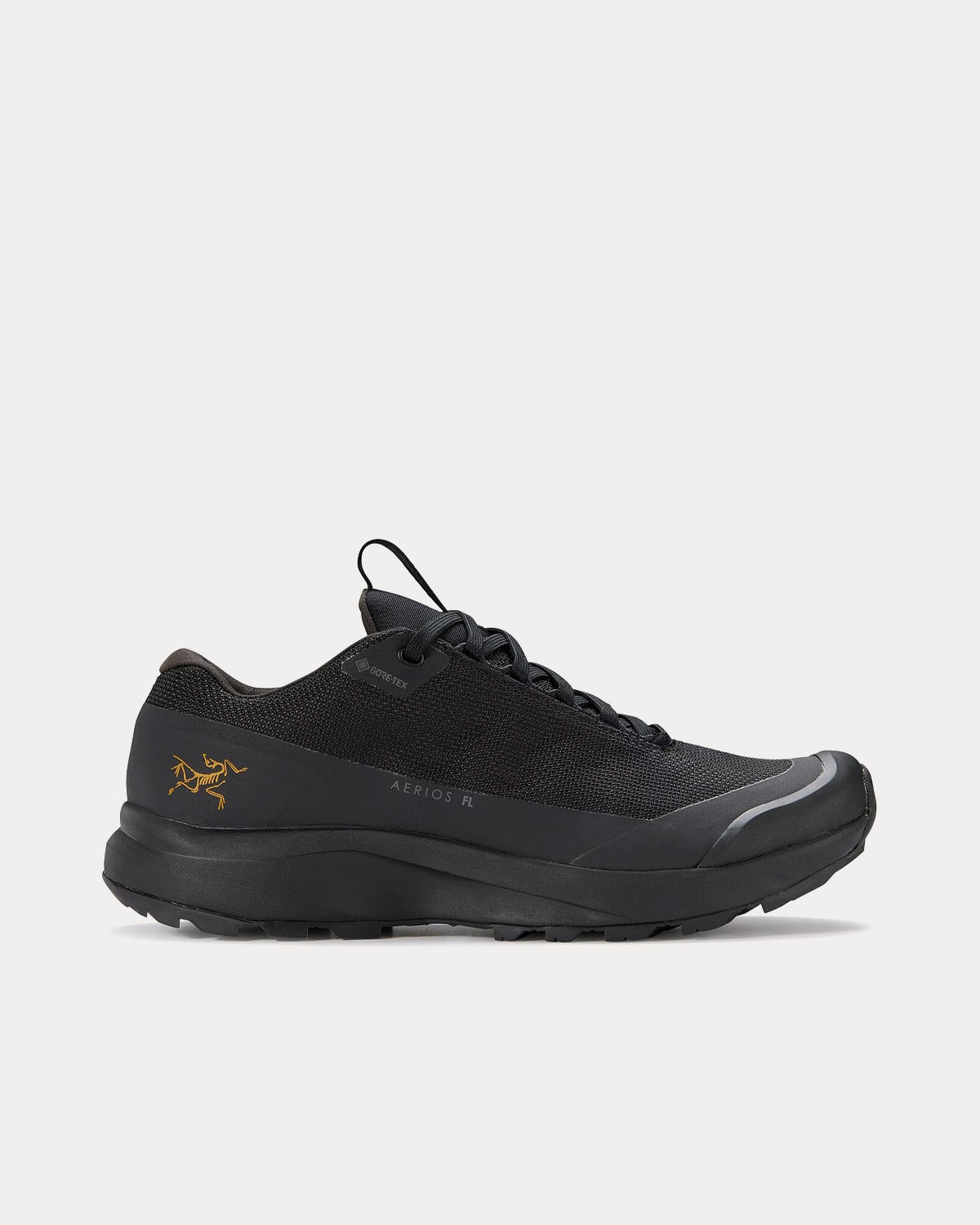 Arc'teryx - Aerios FL 2 GTX Black / Black Running Shoes