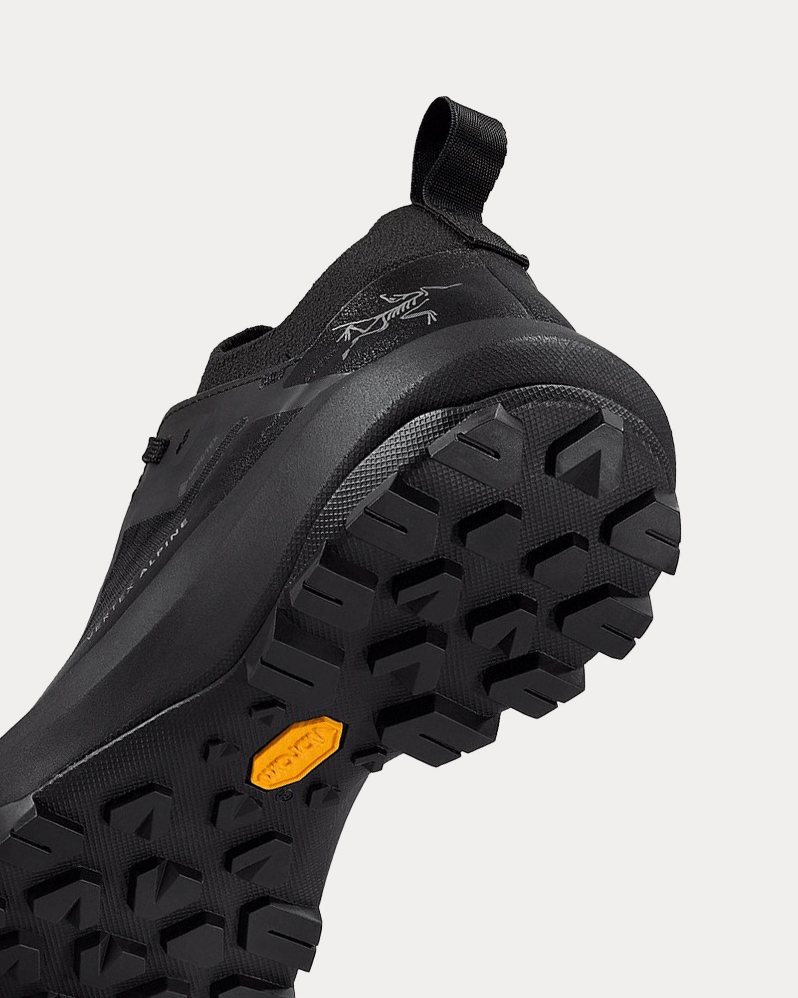 Arc'teryx - Vertex Alpine GTX Black / Black Running Shoes