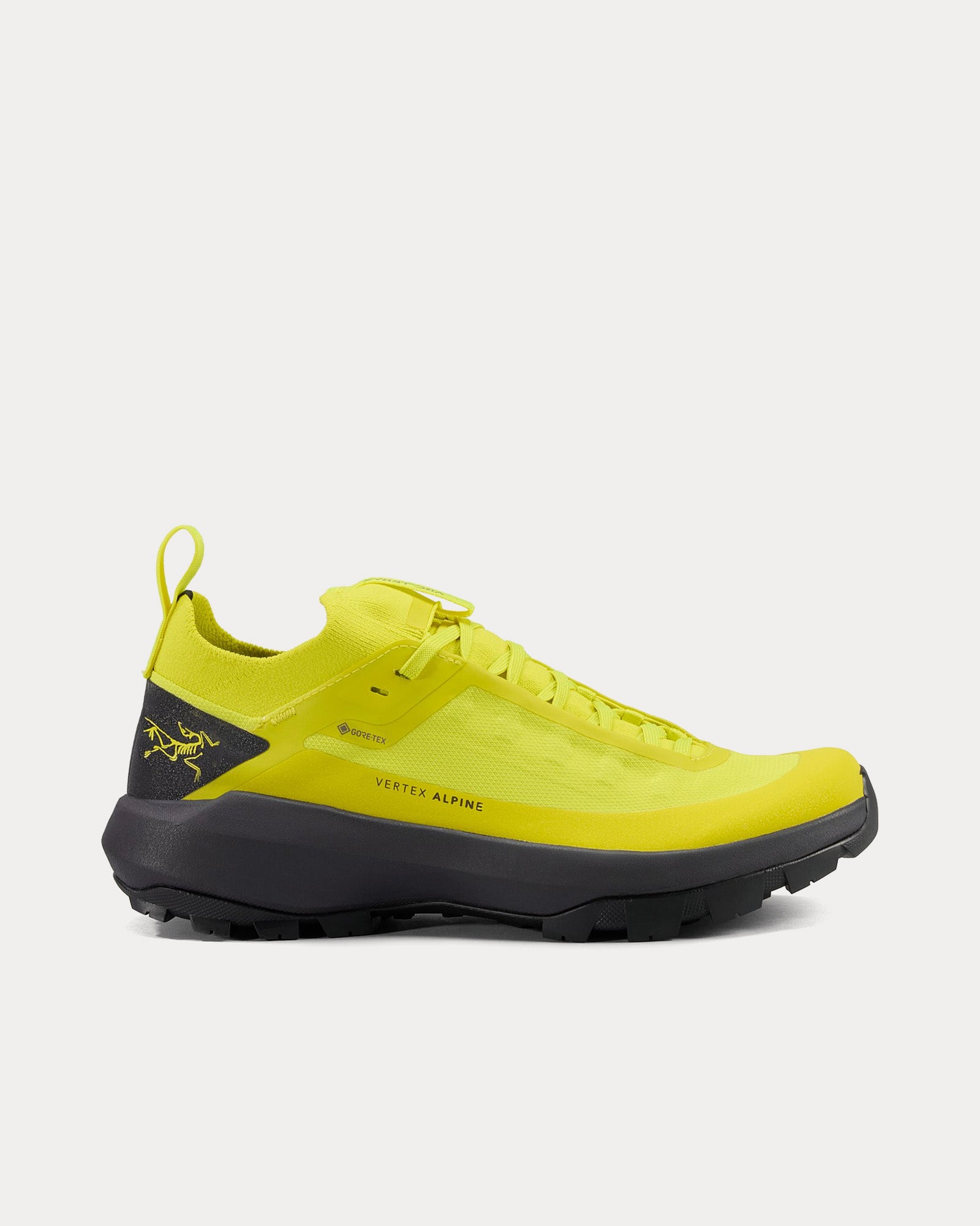 Arc'teryx - Vertex Alpine GTX Euphoria / Graphite Running Shoes