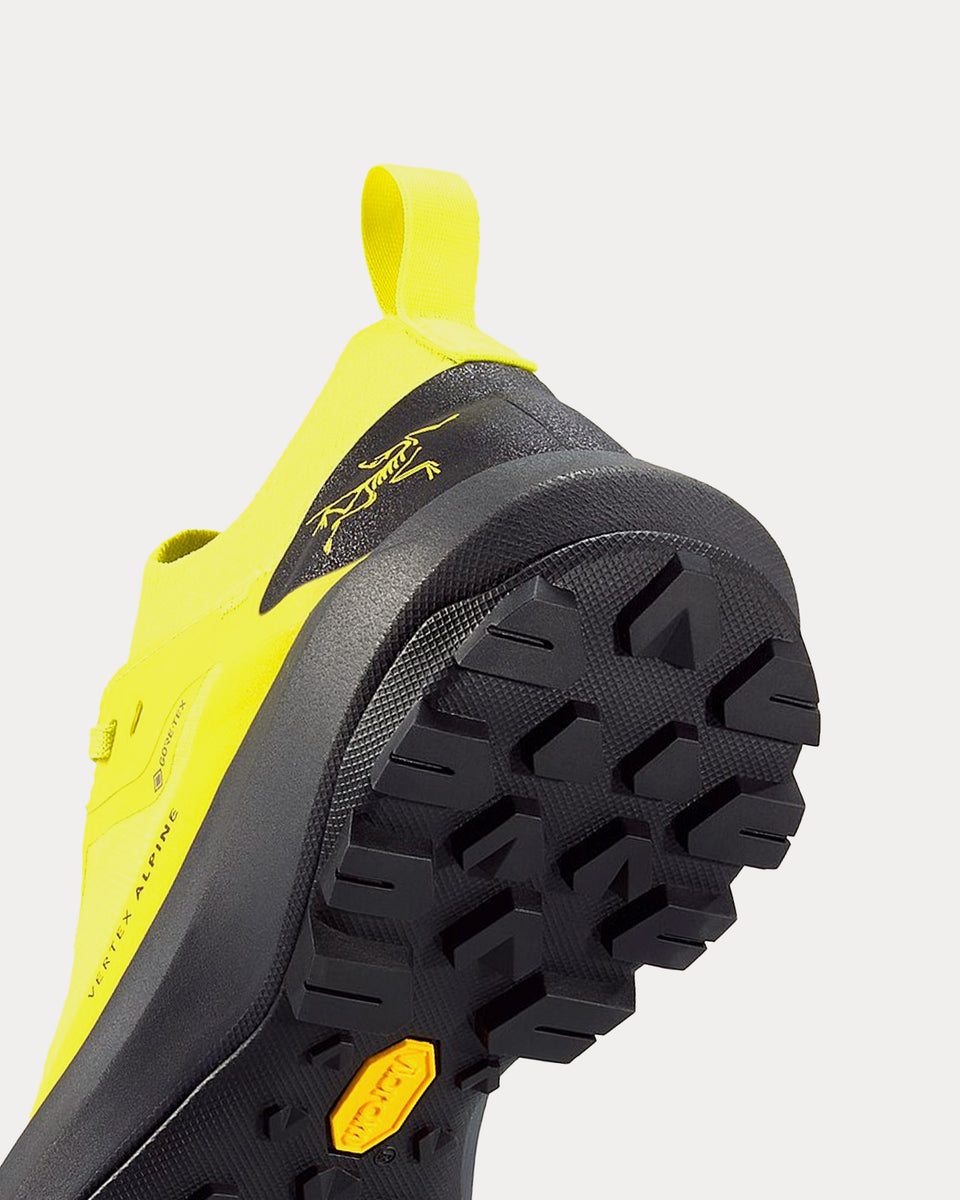 Arc'teryx Vertex Alpine GTX Euphoria / Graphite Running Shoes - Sneak ...