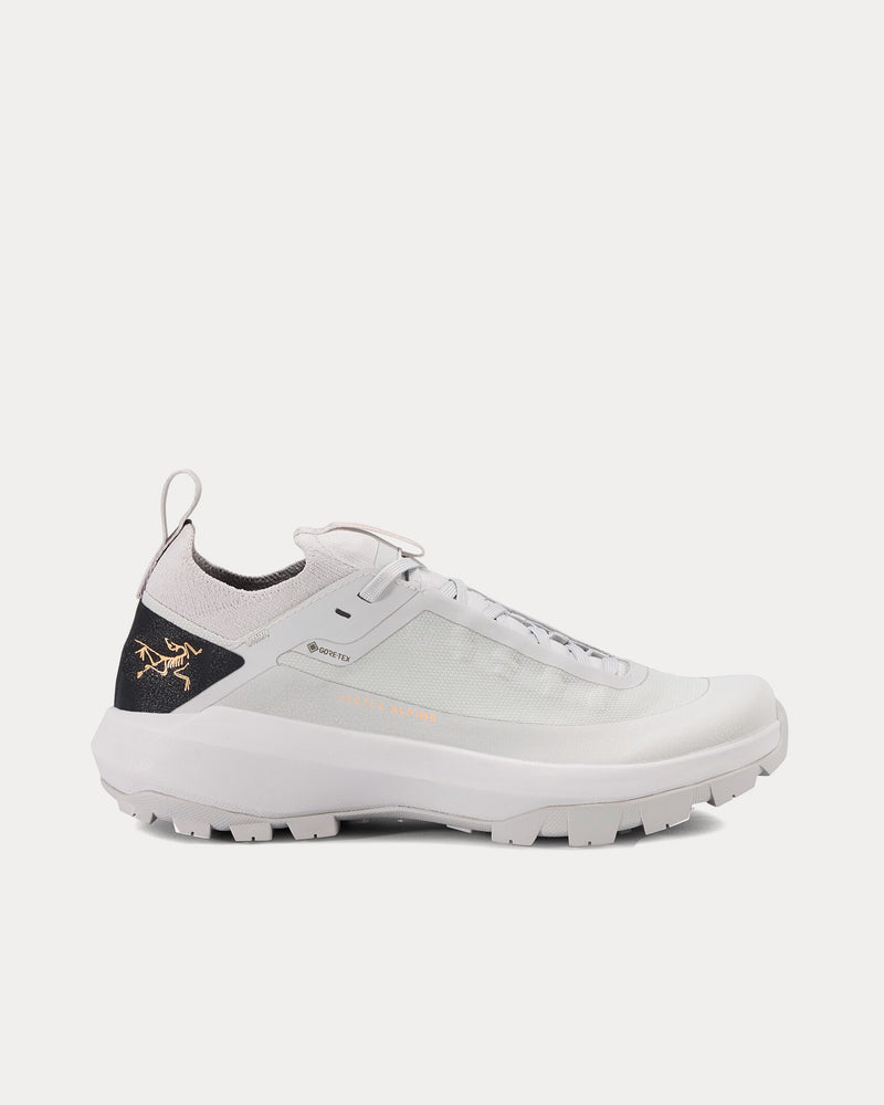 Arc'teryx Vertex Alpine GTX Solitude / Graphite Running Shoes - 1
