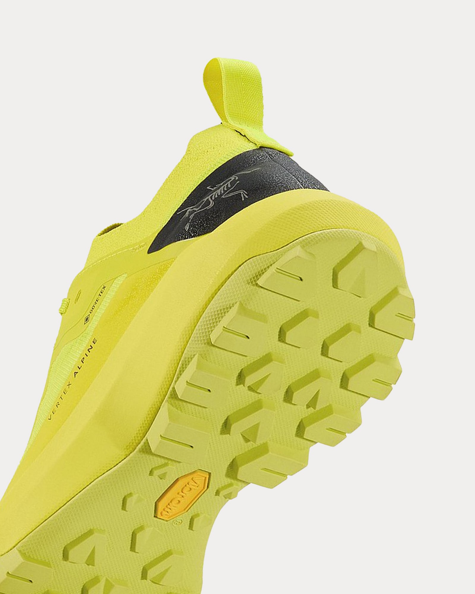 Arc'teryx Men's Vertex Alpine GTX Euphoria / Graphite Running Shoes