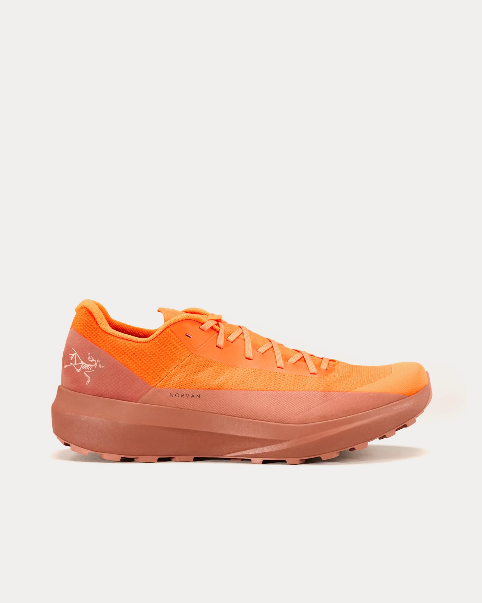 Arc'teryx Men's Norvan LD 4 Verve / Ginger Running Shoes