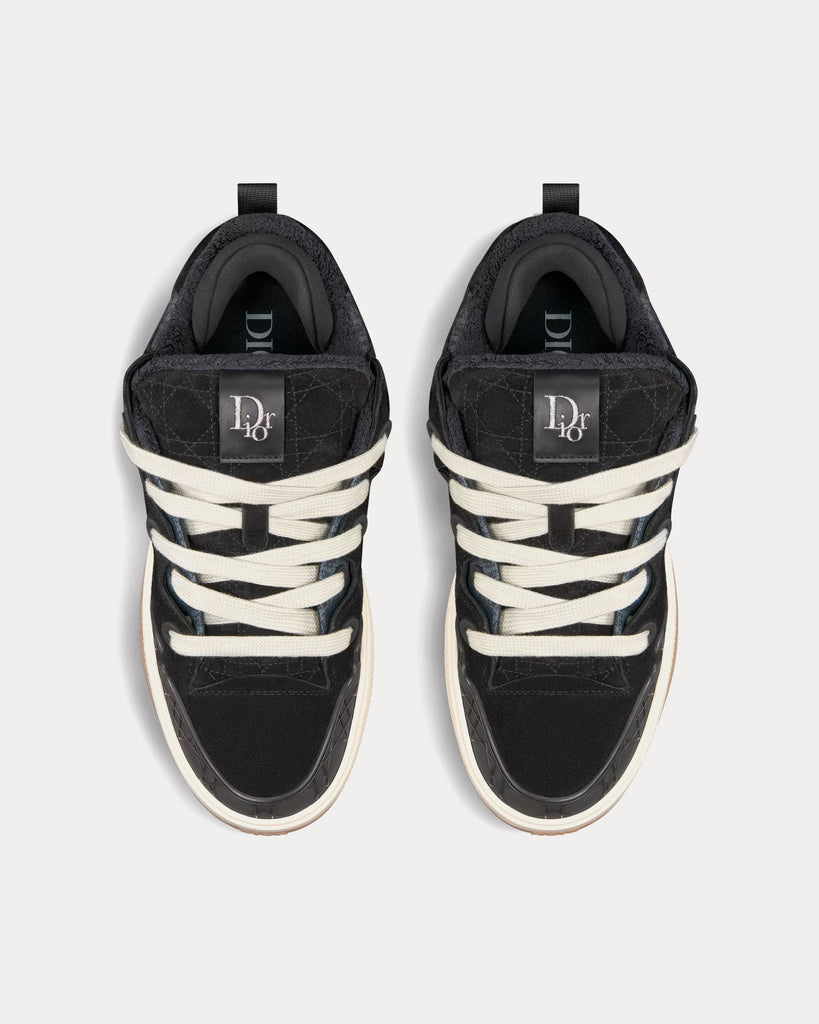 Dior B9S Skater Limited And Numbered Edition Dior Oblique Suede and ...