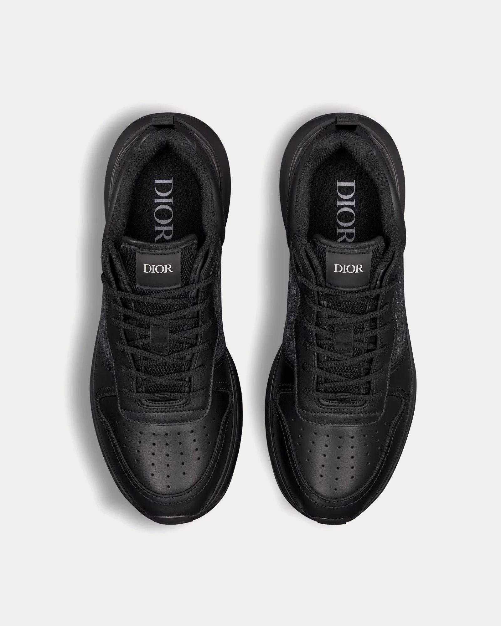dior b25 high top