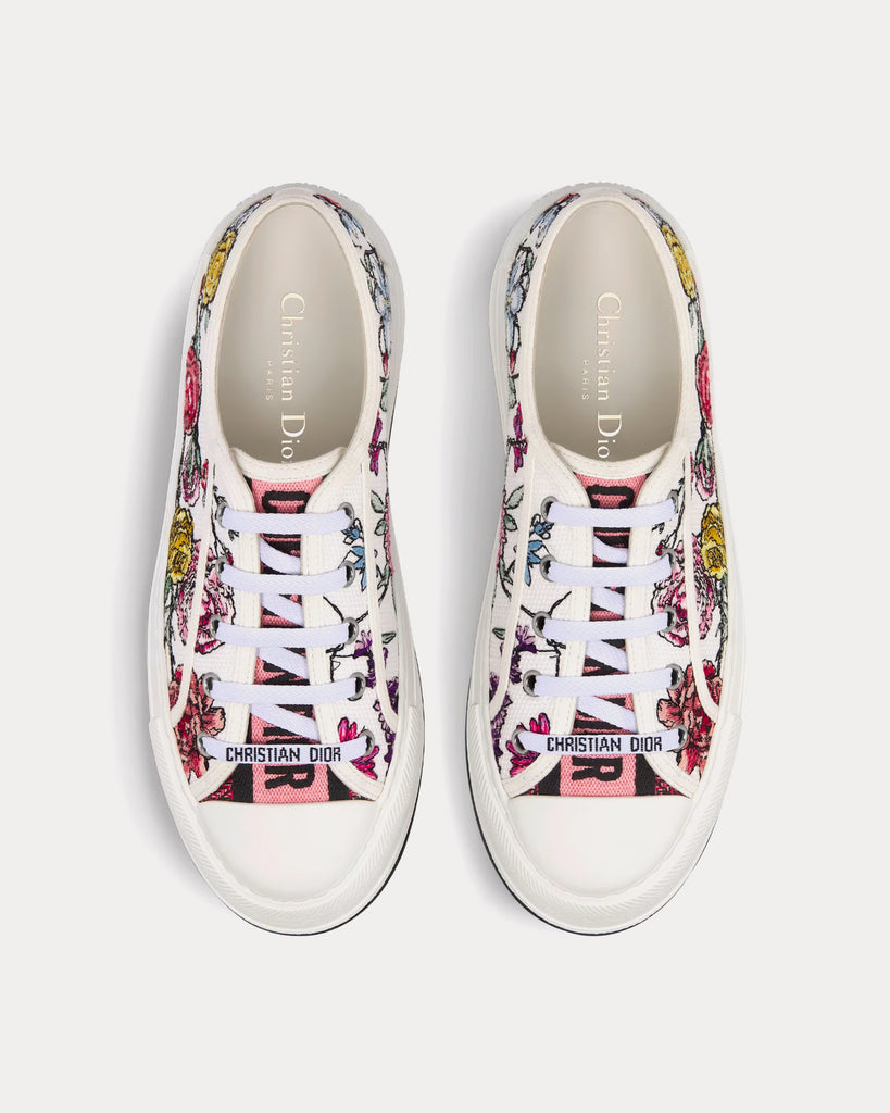 Dior embroidered shoes Clearance