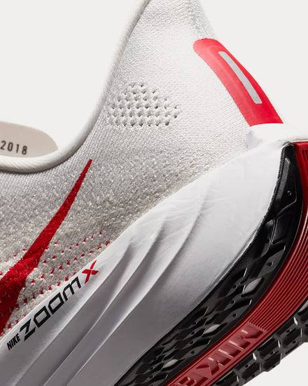 Nike Pegasus Plus Platinum Tint / Phantom / Black / University Red Running Shoes - 5
