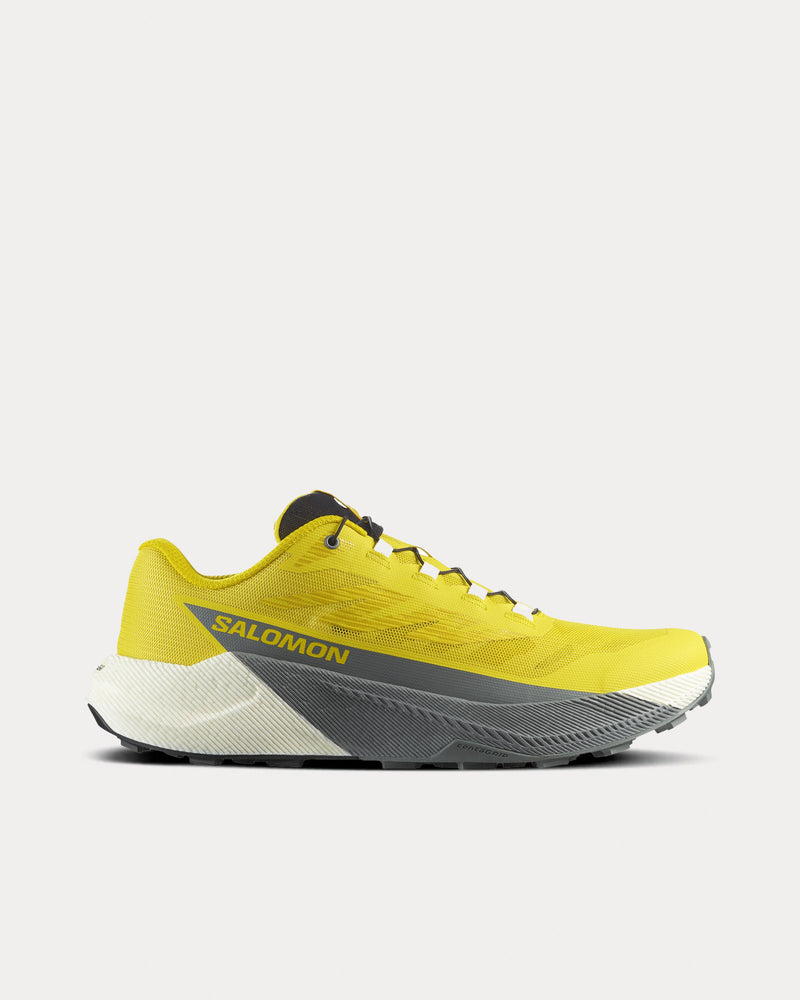 Salomon Men's Pulsar Incaberry / Vanilla Ice / Sedona Sage Running