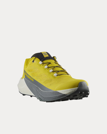 Salomon Pulsar Incaberry / Vanilla Ice / Sedona Sage Running Shoes - 3
