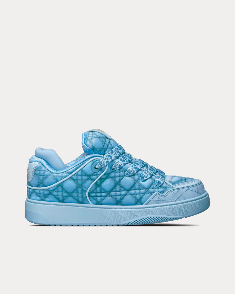erl x dior b9s
