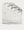 Superstar leather White Skate Low Top Sneakers