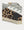 Superstar leopard Low Top Sneakers
