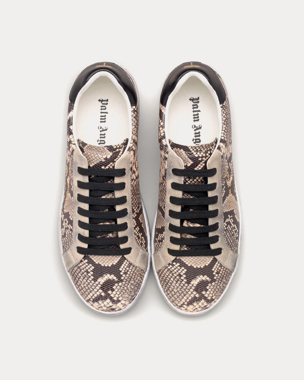 Palm Angels - Python Brown / Black Low Top Sneakers