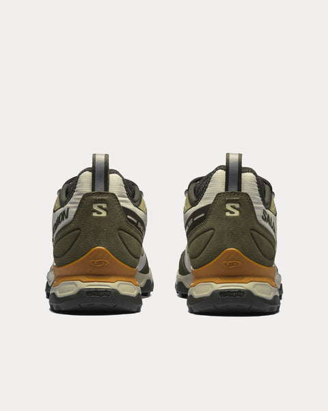Shelter Turtledove / Olive Night / Golden Oak Low Top Sneakers